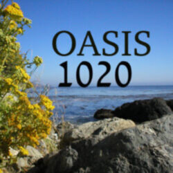 Oasis 1020